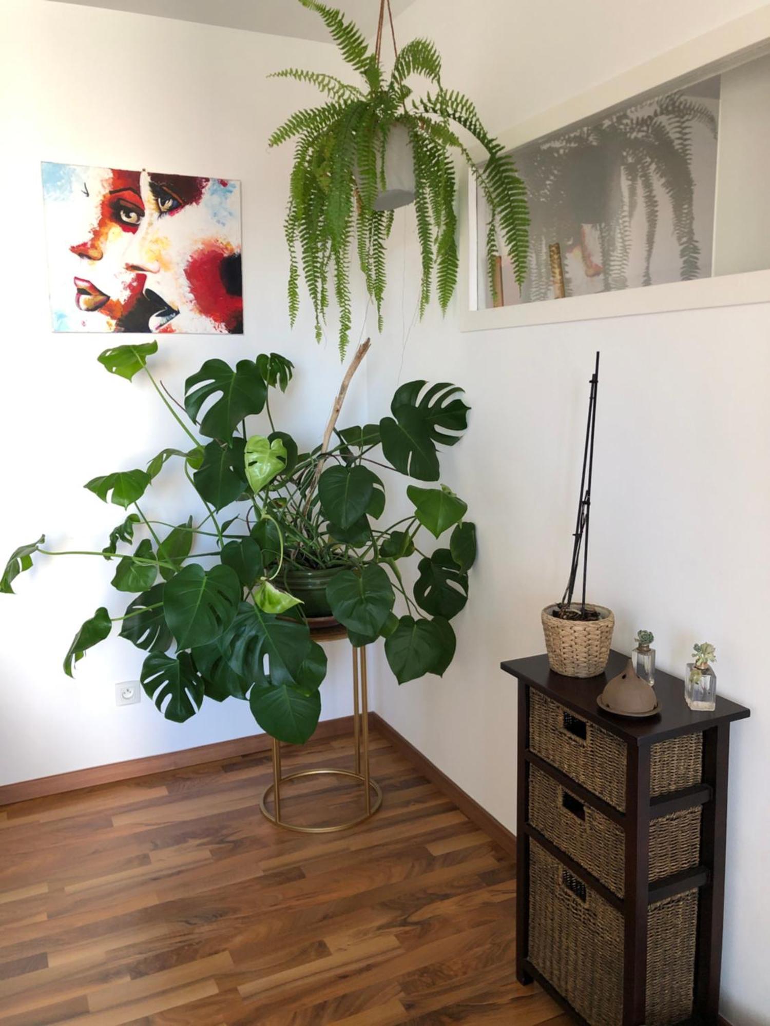 Bel Appartement Nimois Au Calme Avec Balcon นีมส์ ภายนอก รูปภาพ